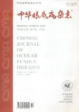 中华眼底病封面